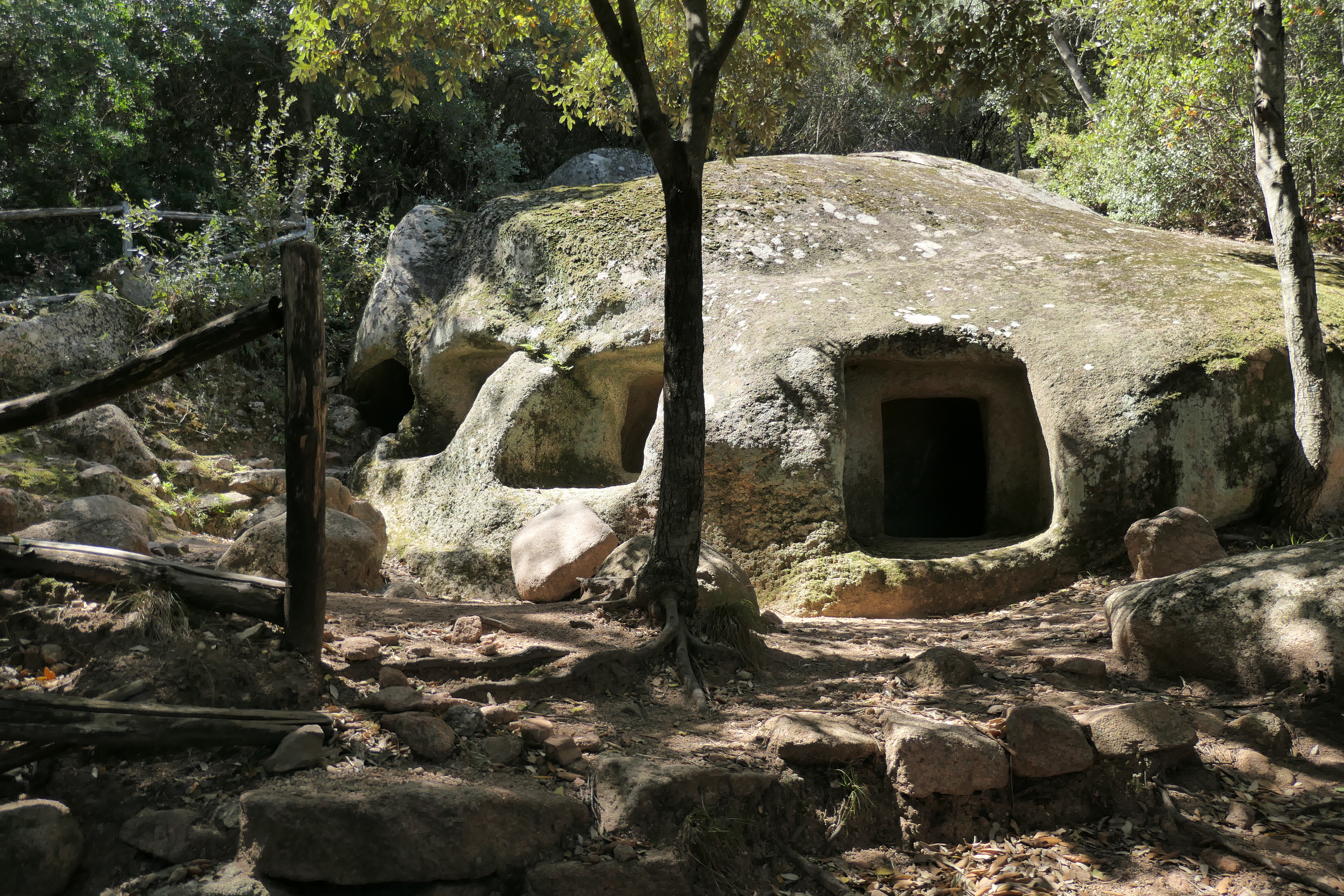 Domus de Janas di Monte Arista a Cardedu