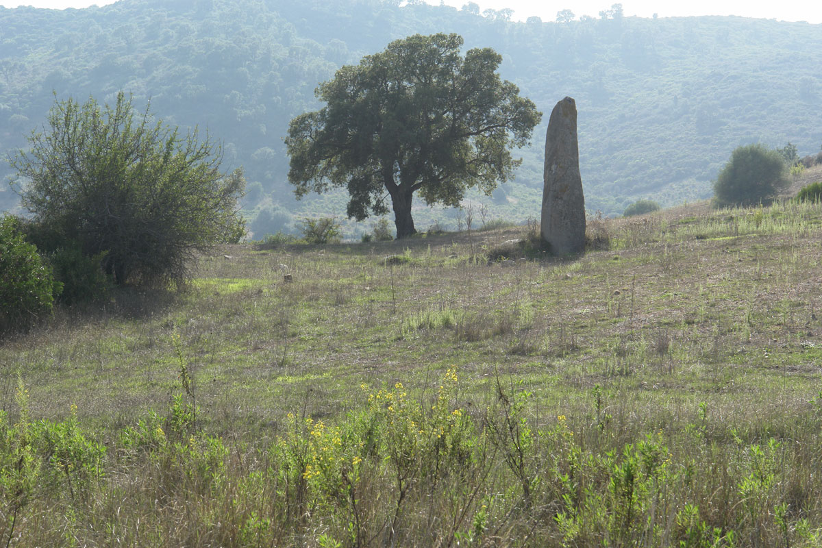 Menhir in Sardegna nell'area di Tortolì